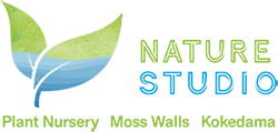 The Nature Studio